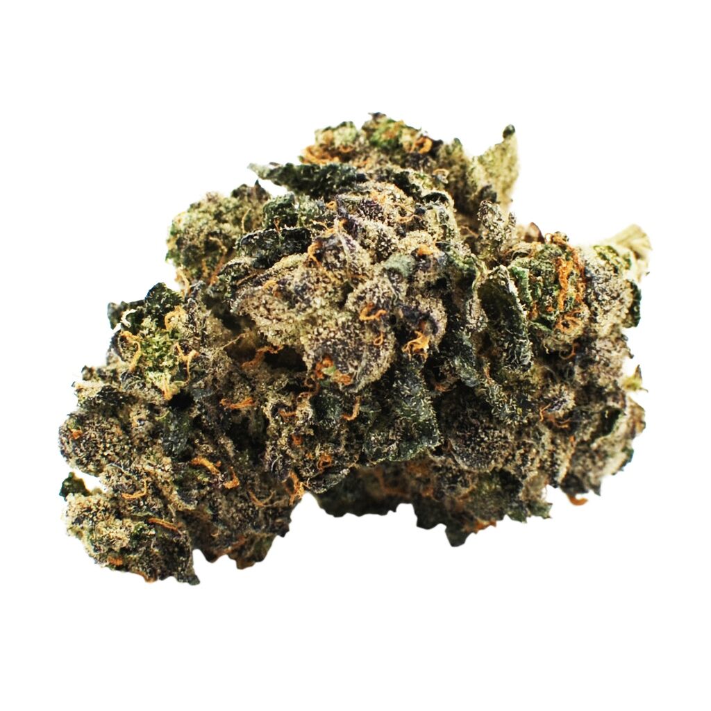 Citizen Stash-Sunset Sherbet-3.5g