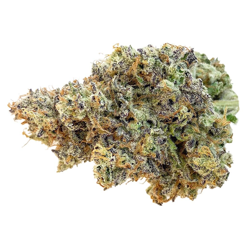 Tenzo-Watermelon Zktlz-7g