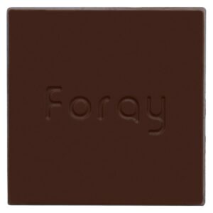 Foray-Salted Caramel Chocolate Square-1x10g