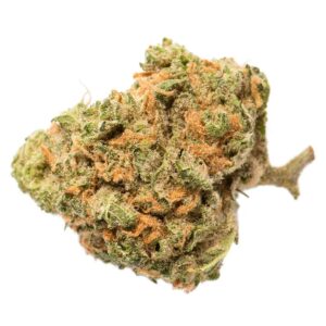 Sundial-Blue Nova-3.5g