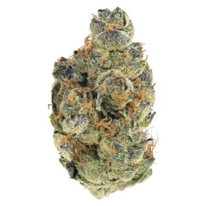 Edison Cannabis Co. - GMO Cookies - 3.5g