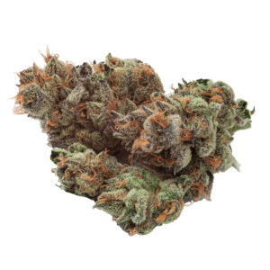 Natural History - Fruit Cake - 3.5g