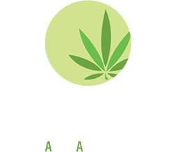 best-cannabis-store-waterloo-and-brampton