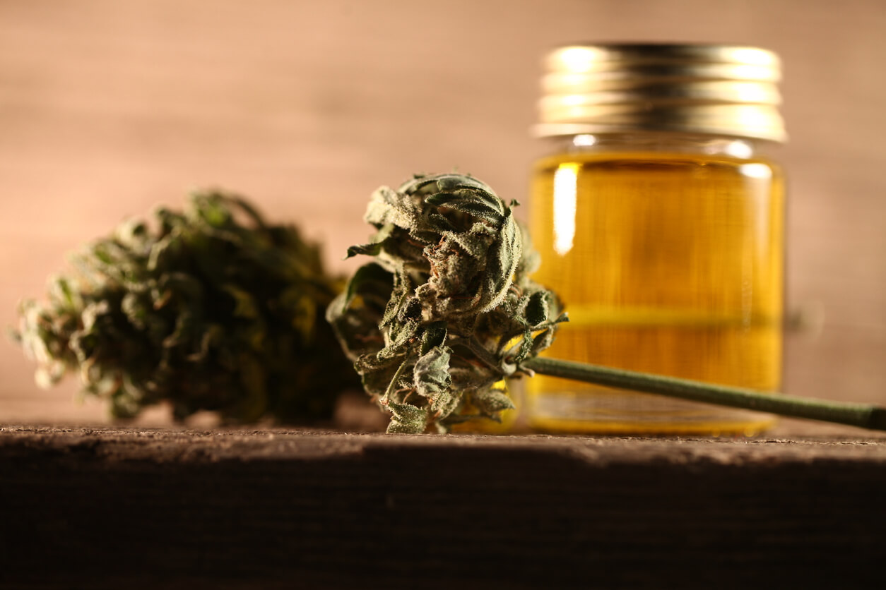 best Hybrid Oils in Brampton