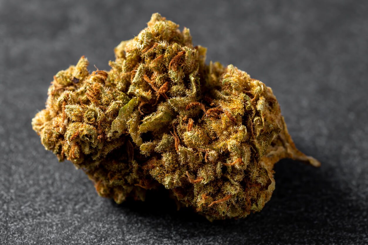 best indica-flowers-waterloo