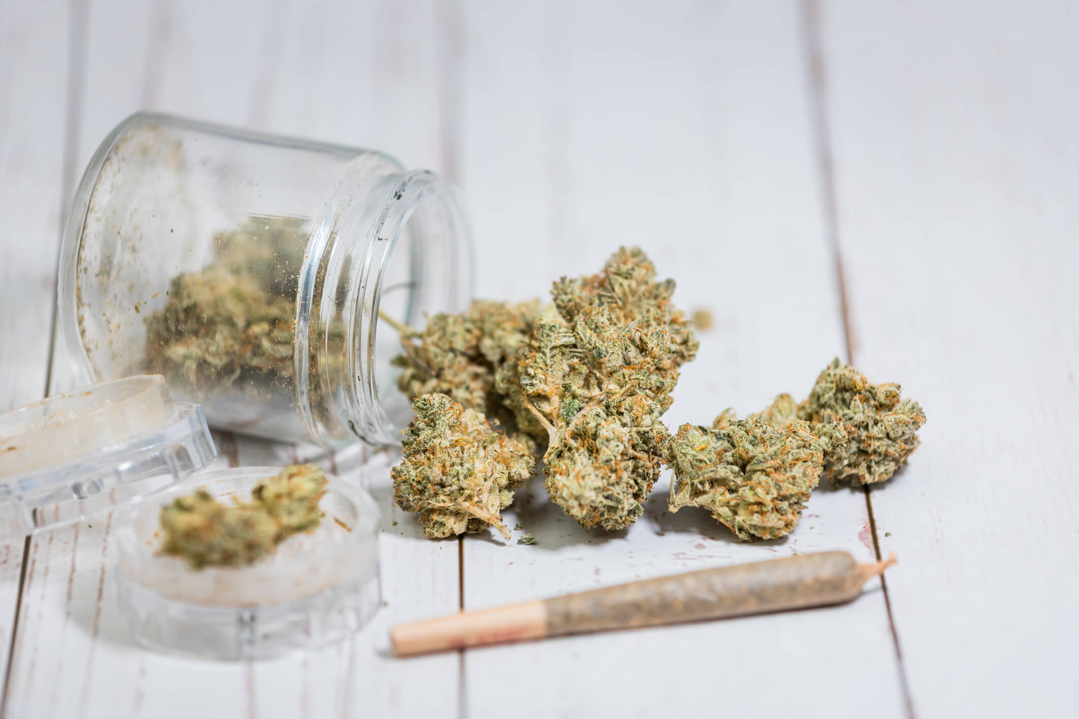 Sativa Pre-Rolls Brampton